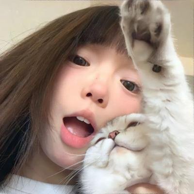 海绵宝宝